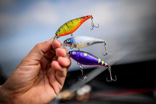 Flicker Shad Shallow