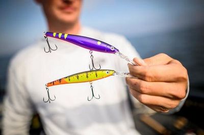 Flicker Minnow
