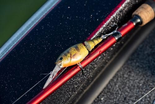 Jointed Flicker Shad