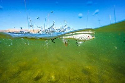 Topwater