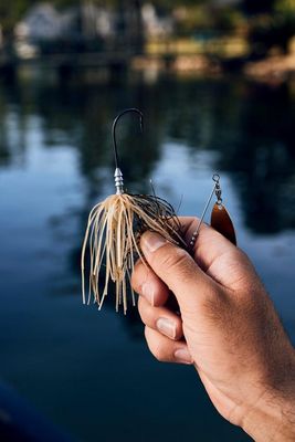 Spinner Baits