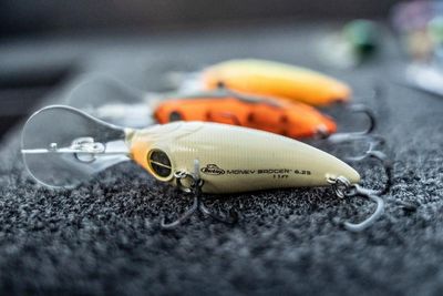 Crankbaits