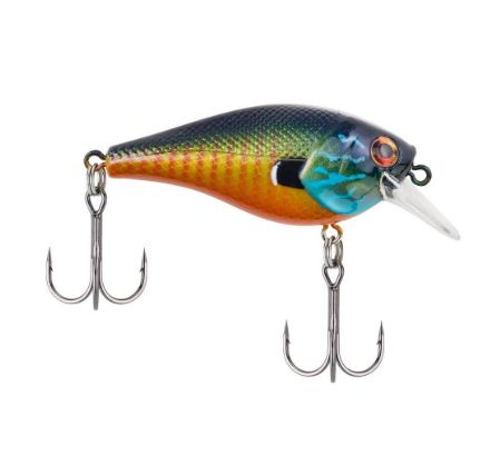Berkley Squarebull, Color: Gilly, Size: 5.5