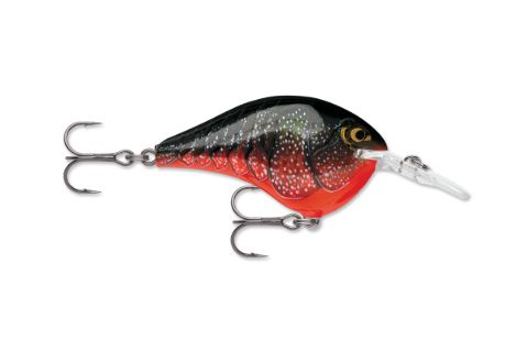 Rapala DT (Dives-To)