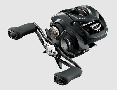Daiwa Tatula TW 100