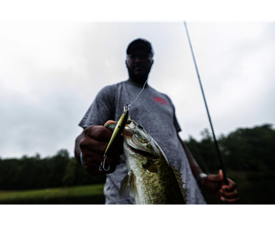 Strike King - KVD Jerkbait