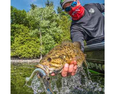 Strike King Rage Swimmer