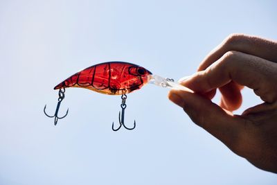 Berkley Money Badger