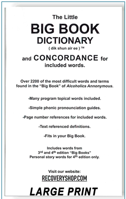 Big Book Dictionary - Large Print
