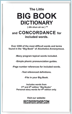 Big Book Dictionary - Regular