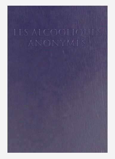 Big Book - Large Print - Spanish