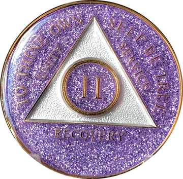 Purple Glitter Tri-Plate - 1-5 Years Purple Glitter Tri-Plate - 1-5 Years