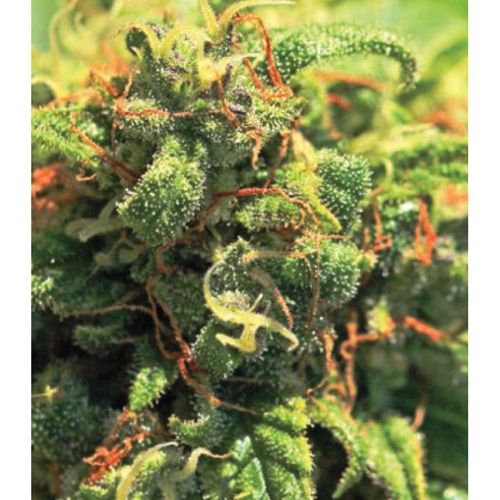 Pineapple Upside Down Cake