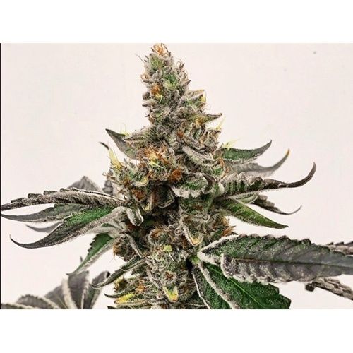 Mike's Strawberry Lemonade