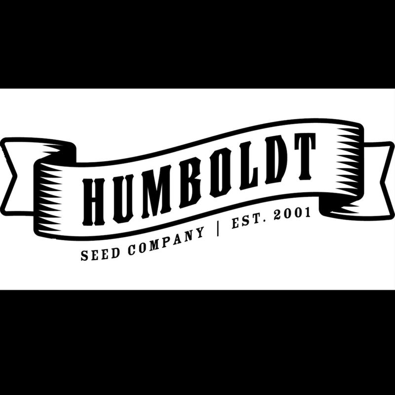 Humboldt Sour Diesel Auto