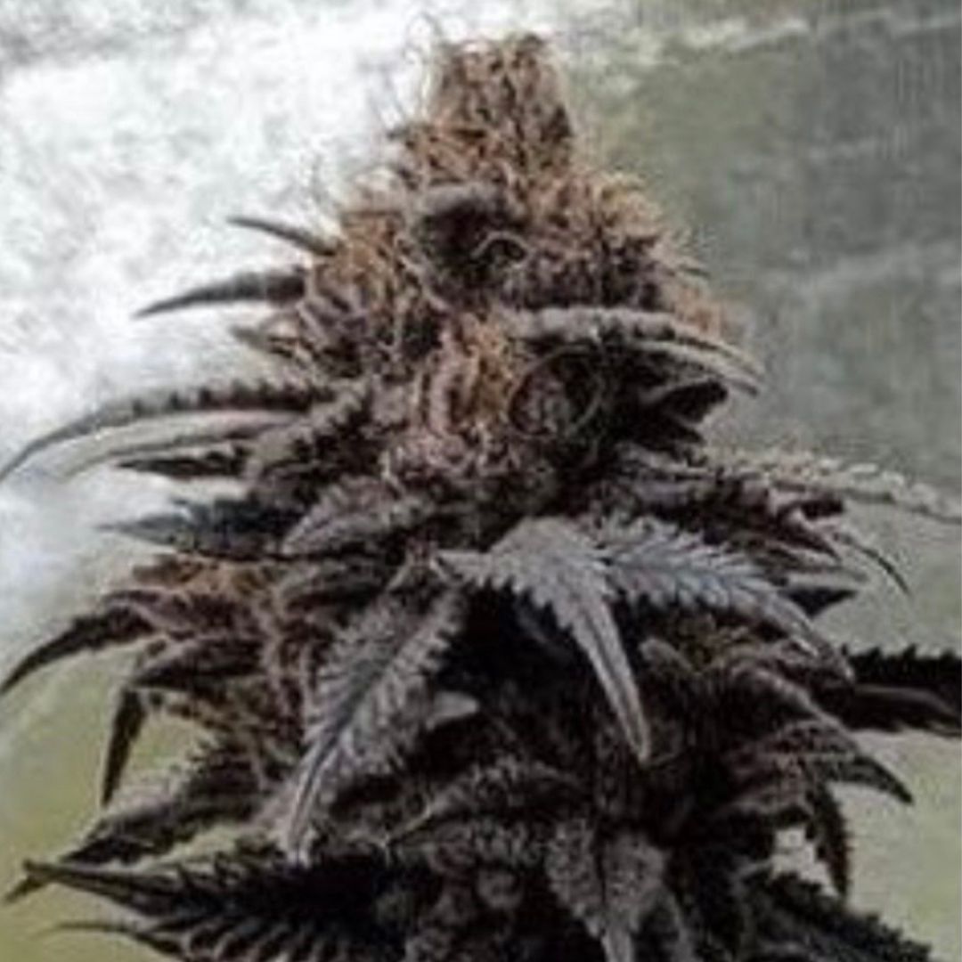 Miracle Apple Frosting