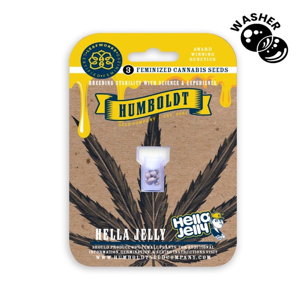 Hella Jelly
