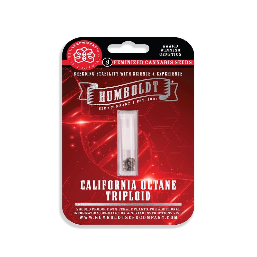 California Octane Triploid