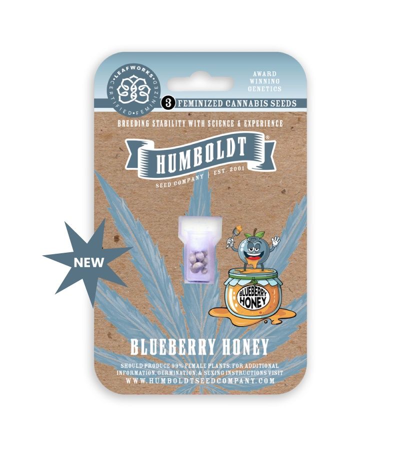 Blueberry Honey