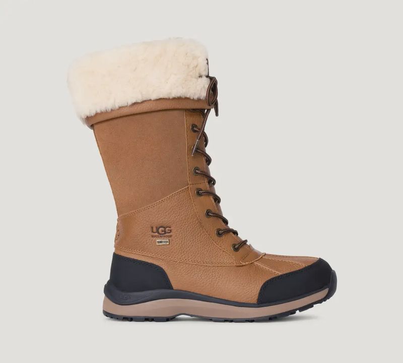 Women&#39;s Adirondack III Tall Boot Chestnut 164892