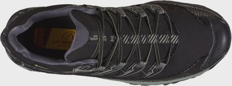 Ultra Raptor II Gtx Shoes 134734