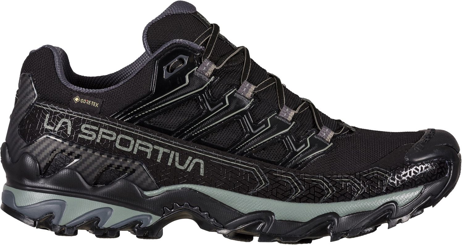 Ultra Raptor II Gtx Shoes 134734