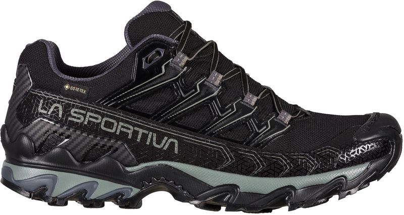 Ultra Raptor II Gtx Shoes 134734