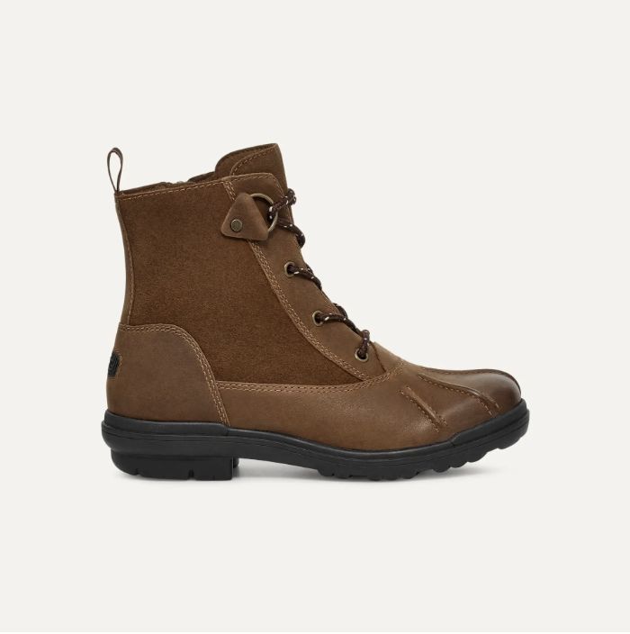 W Hapsburg Duck_Brown 162131