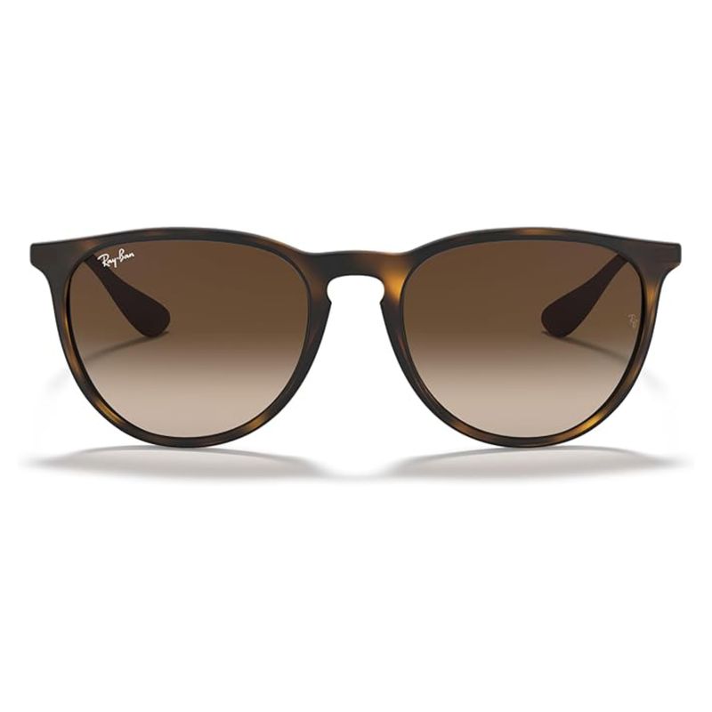 Ray Ban Erika Round Sunglasses
