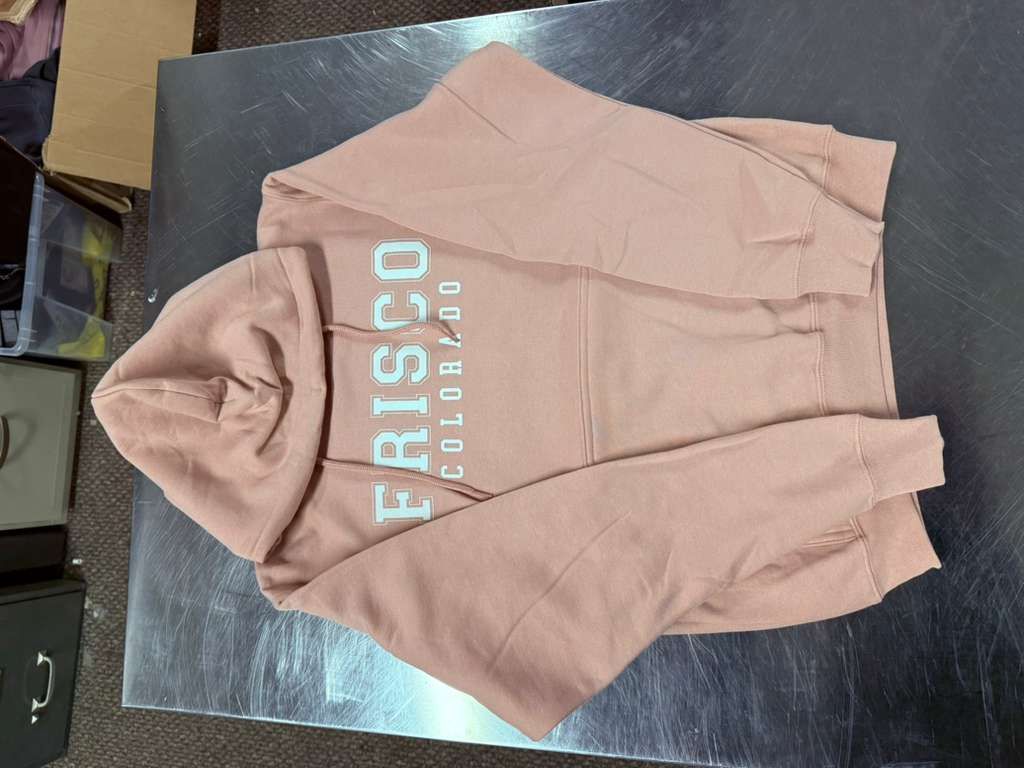 Stacked Collegiate Hoodie, Color: Light Pink, Size: SM/MD