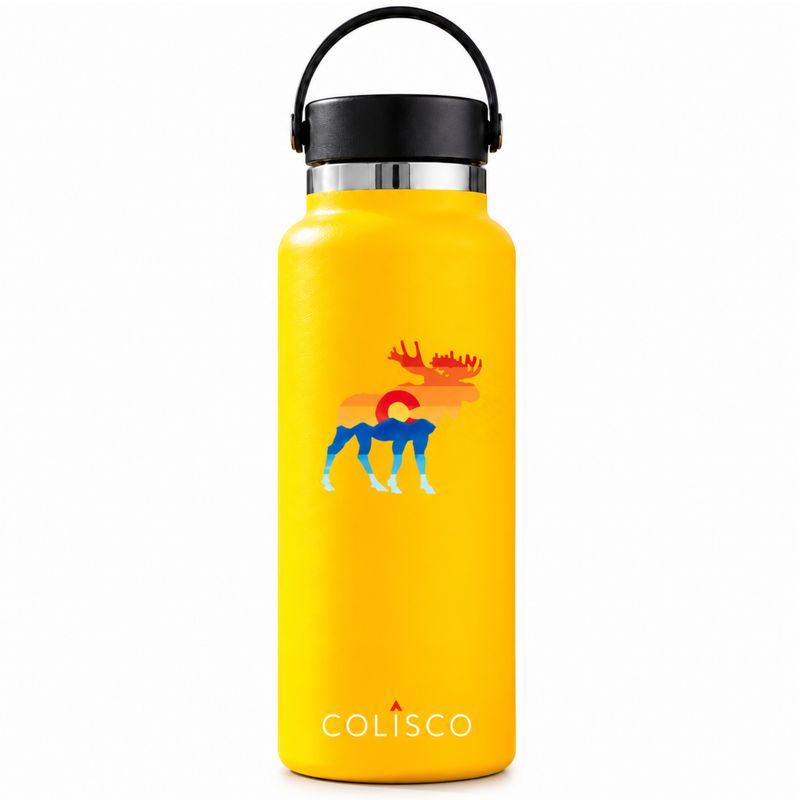 Moose Colorado Insulated Stainless Steel Water Bottle, 22oz