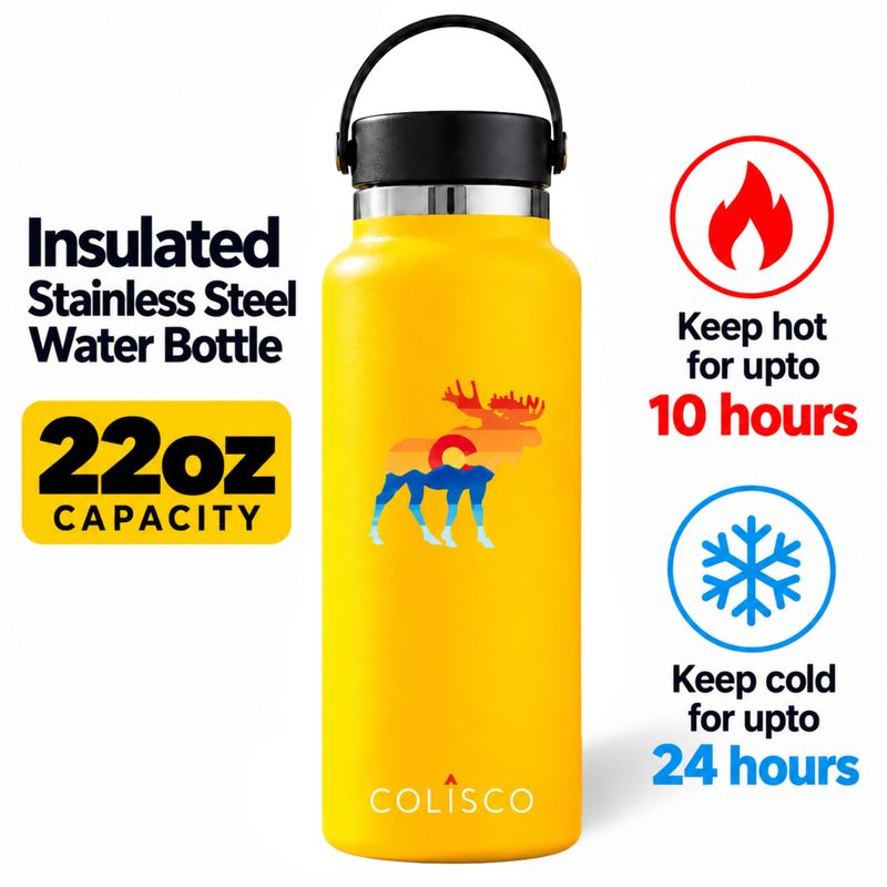 Moose Colorado Insulated Stainless Steel Water Bottle, 22oz