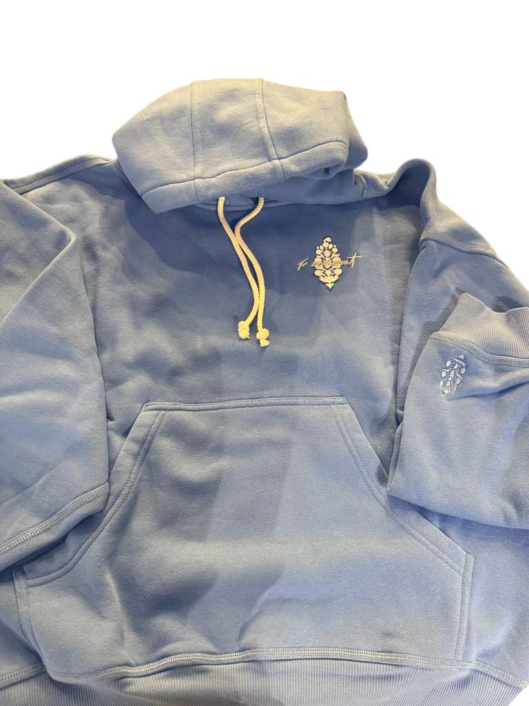 Final Call Logo Hoodie, Riviera Blue Combo, Color: Riviera Blue Combo, Size: XS