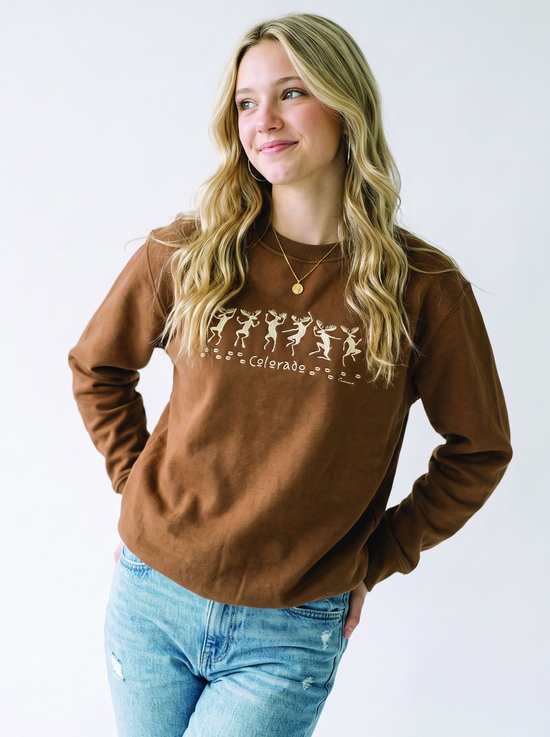 Colisco Moose Dance 100% Cotton Graphic Sweatshirt, Color: Brown, Size: S