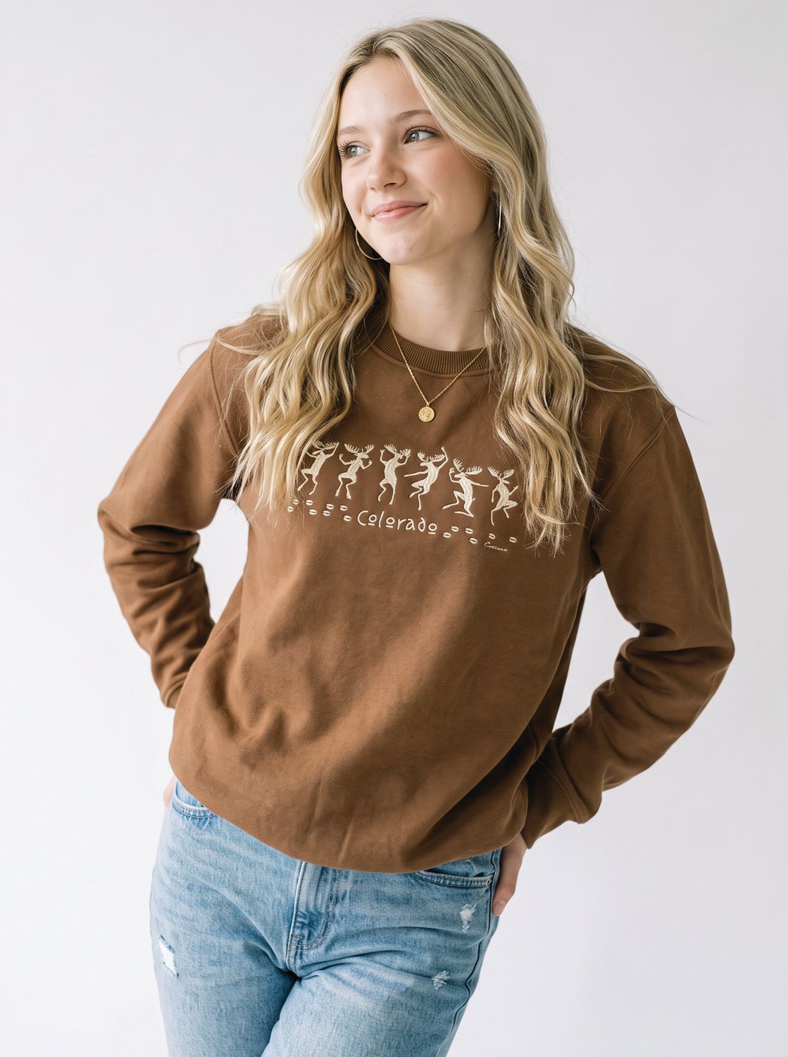 Colisco Moose Dance 100% Cotton Graphic Sweatshirt, Color: Brown, Size: S