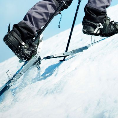 Snowshoe