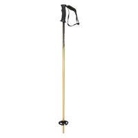 Head Kore Team Poles 105