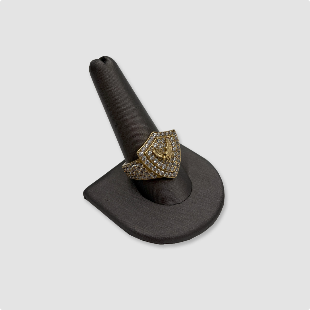 Anillo de Hombre 10k