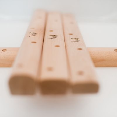 Witchholds - Campus Slat (unit)