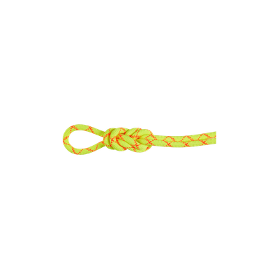 Mammut - 9,5 mm Alpine Core Protect Dry - Halo/Vibrant Orange - Climbing Rope