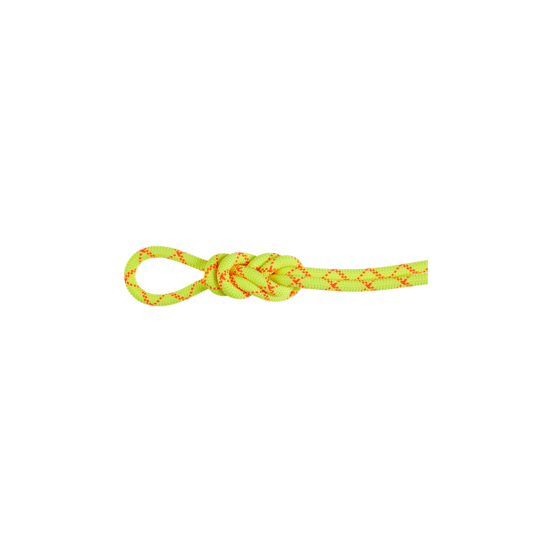 Mammut - 9,5 mm Alpine Core Protect Dry - Halo/Vibrant Orange - Climbing Rope