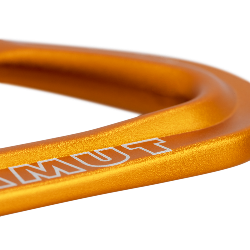 Mammut - Sender Wire 17 cm - Light Grey/Gold - Alpine Quickdraw