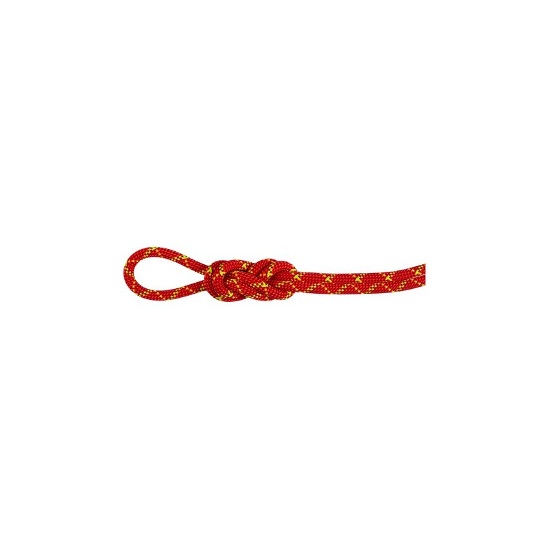 Mammut - 8,0 mm Alpine Core Protect Dry - Fire/Halo - Climbing Rope