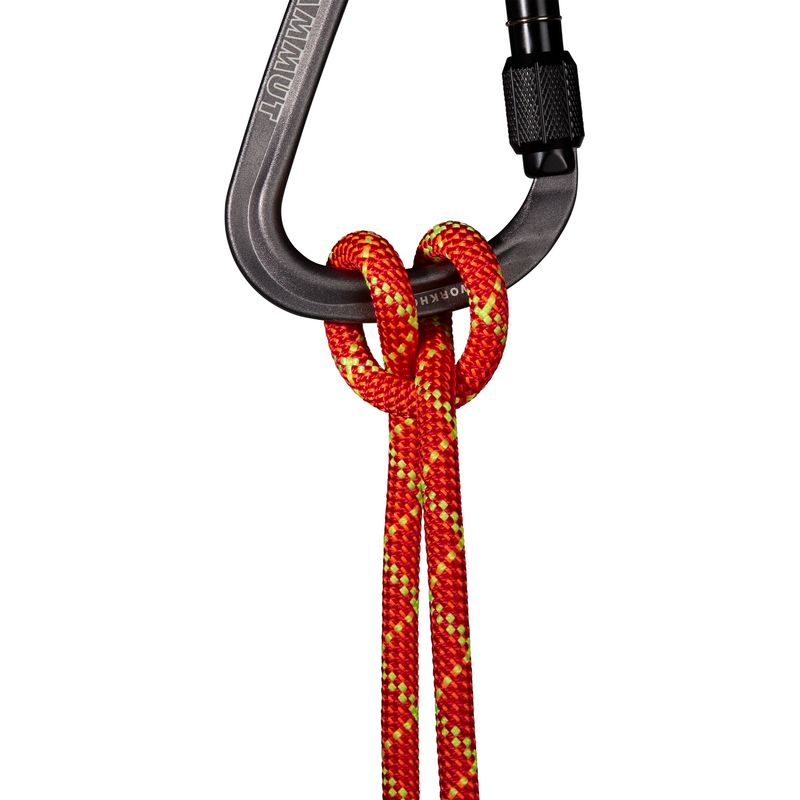 Mammut - 8,0 mm Alpine Core Protect Dry - Fire/Halo - Half Rope