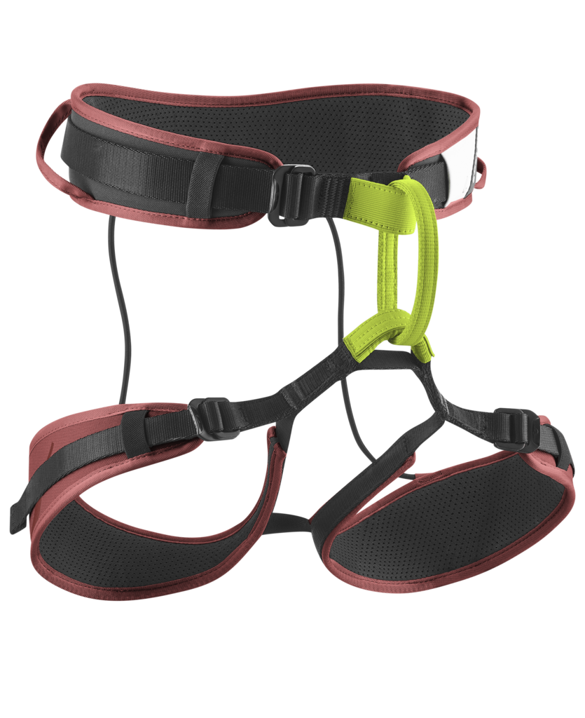 Edelrid - Zack Gym II - Climbing Harness, Size: XS