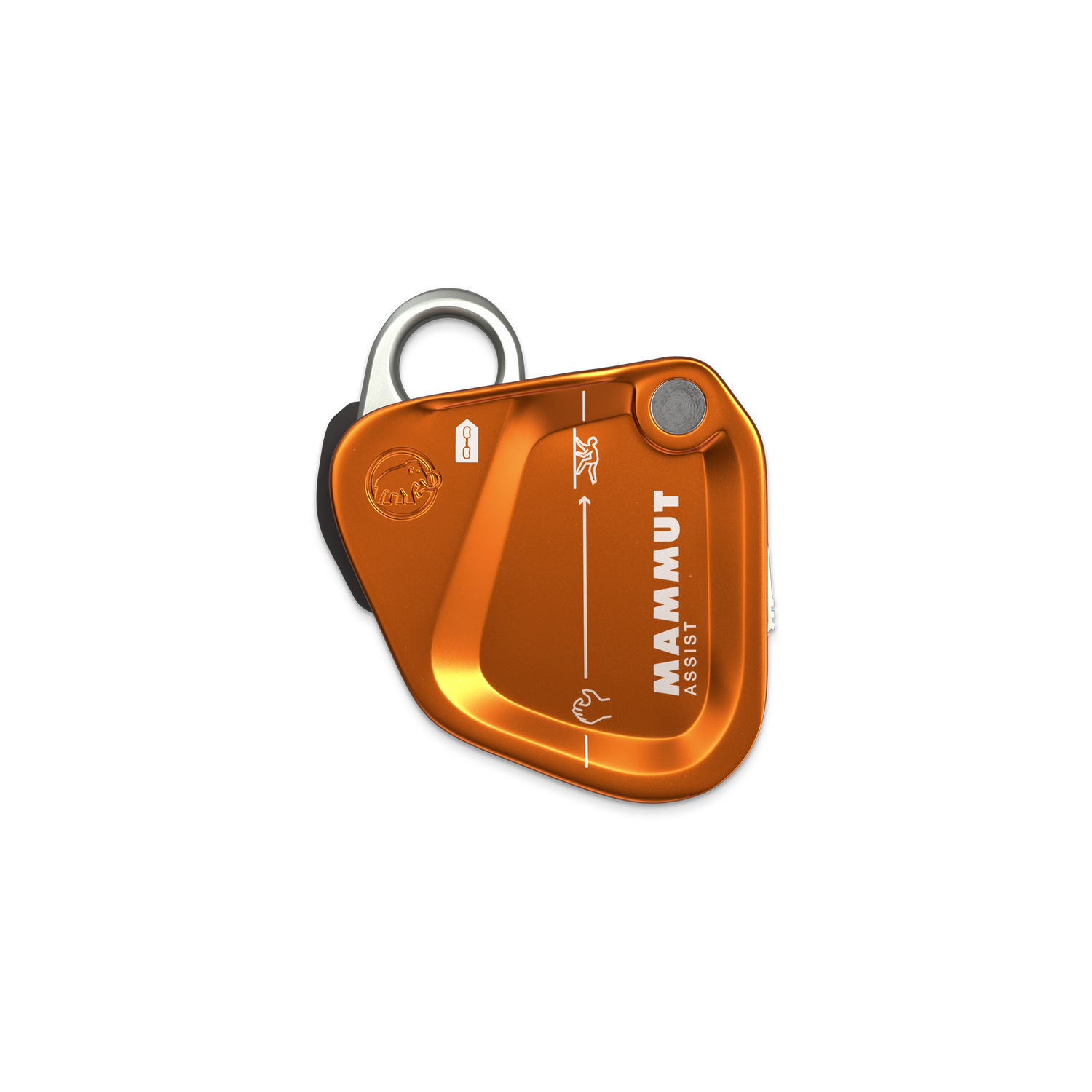 Mammut - Assist - Gold - Assisted-Braking Resistor