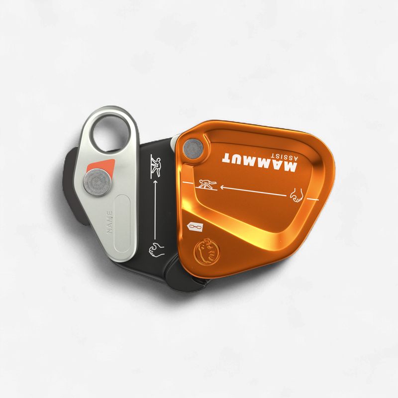 Mammut - Assist - Gold - Assisted-Braking Resistor
