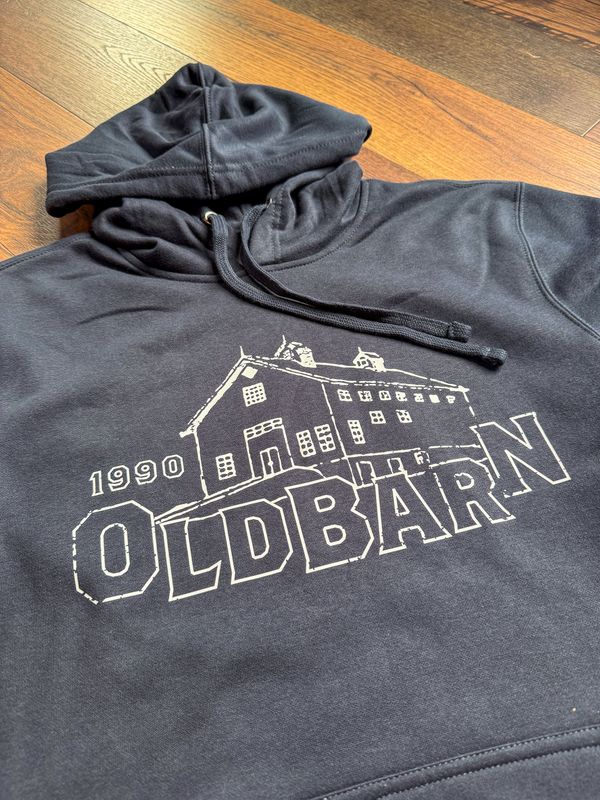 Origins Youth Hoodie