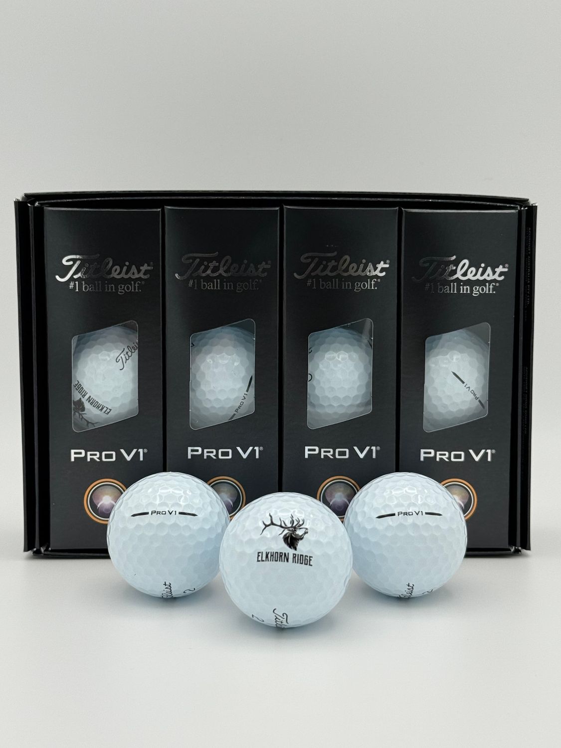 Titleist PRO V1 Logo Dozen