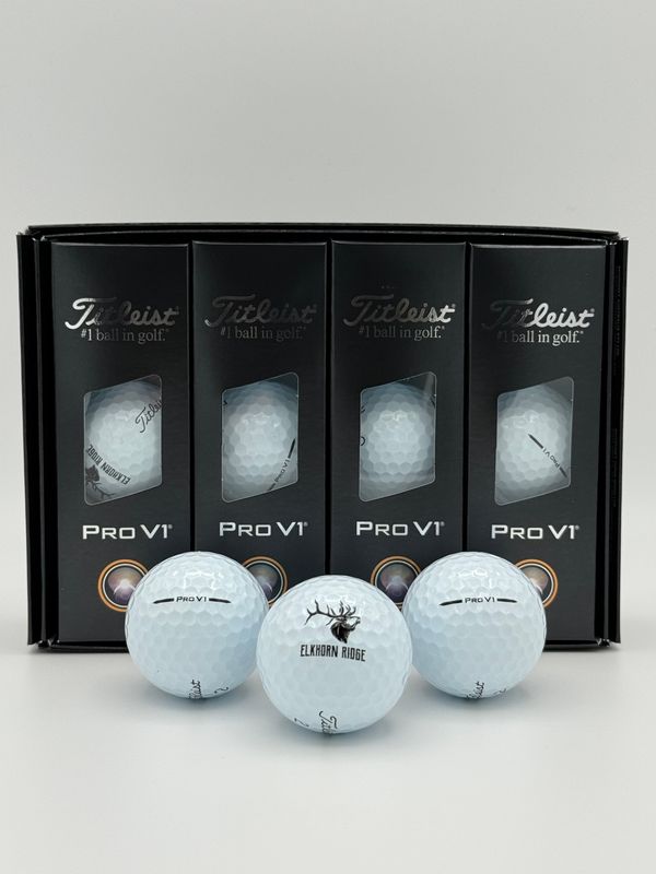 Titleist PRO V1 Logo Dozen